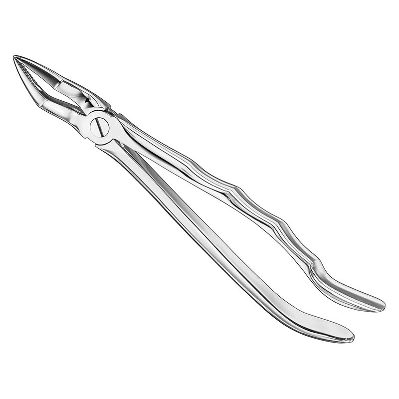 Extracting forceps, anat.